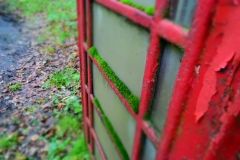 DSC_0309