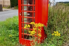 20230727_131657