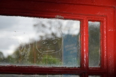DSC_0517