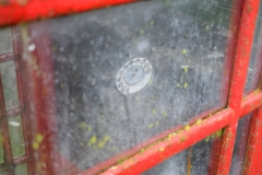 DSC_0003