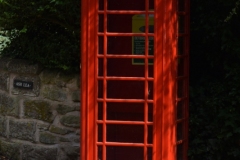DSC_0678