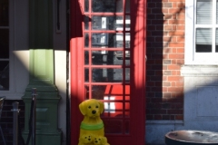 DSC_0663