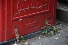 DSC_0254