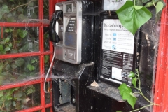DSC_0376