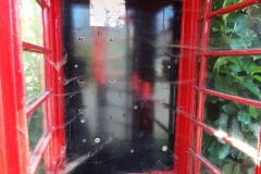20250509_094121