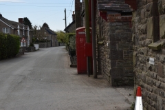 DSC_0420